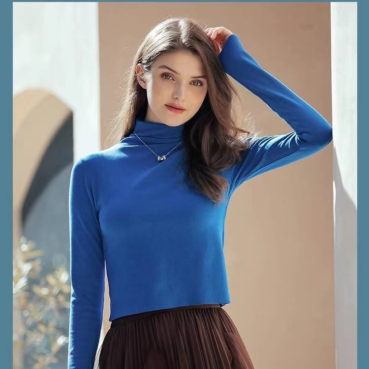 Silk De Velvet Bottoming Shirt Sustainable Clothing High Neck